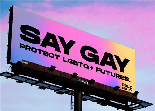 say gay